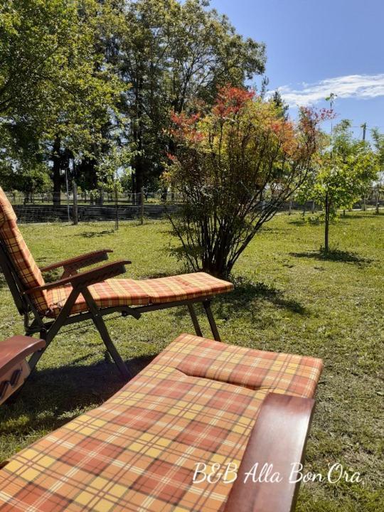 B&B Alla Bon'Ora Volpago del Montello エクステリア 写真